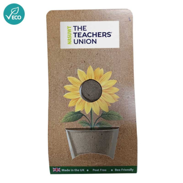 Sunflower Seed Ball Pot Card