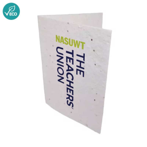 Seed Paper A6 Greetings Cards